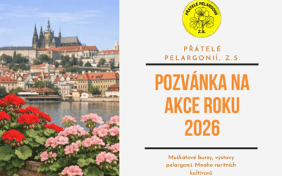 Přehled akcí spolku na rok 2026