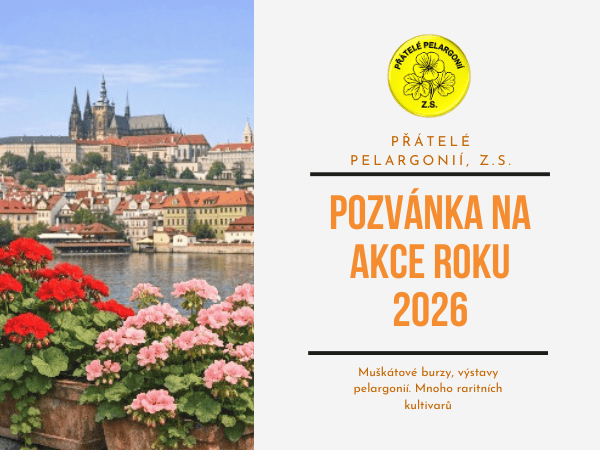 Pozvánka na akce spolku Přátelé pelargonií, z.s. 2026