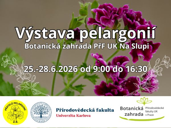 Vystava pelargonii Na slupi 2026